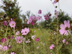 -翠湖国家城市湿地公园