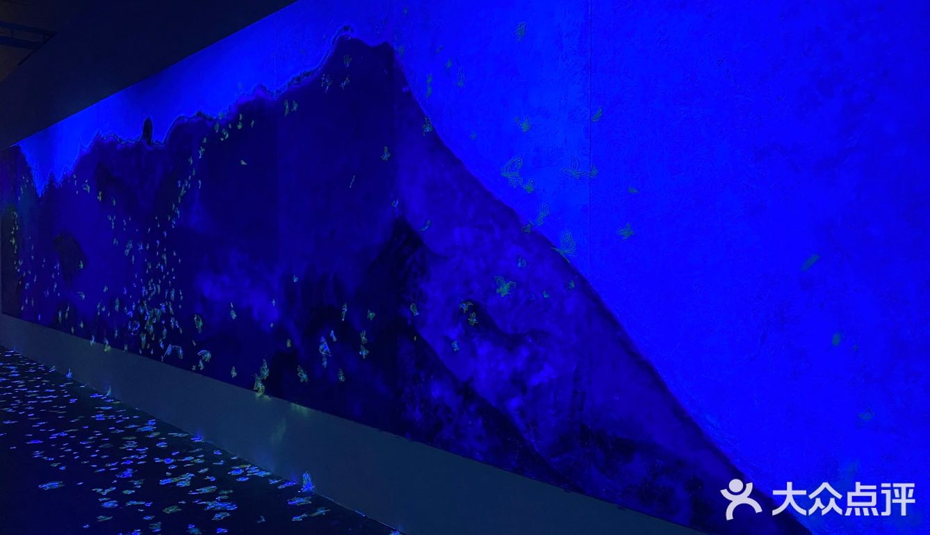阿雅个展！白夜神话！西安美术馆五一太给力啦！