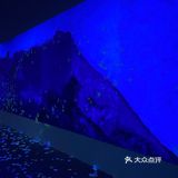 阿雅个展！白夜神话！西安美术馆五一太给力啦！