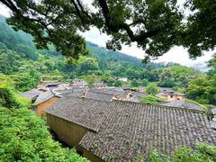 -杨家堂村