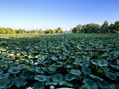 -长春市南湖公园