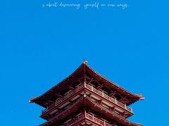 -紫蓬山国家森林公园