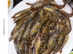 -凯华海鲜火锅·传承三十六年