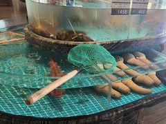 -百富源·海鲜辽菜(张士店)