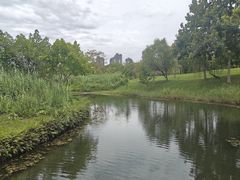 -眉山湿地公园(东坡区)