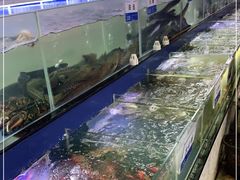 -欢乐海岸美食联盟