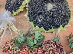 -高荡千年布依古寨旅游景区