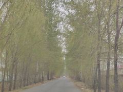 -昌平兴寿秀秀草莓采摘园