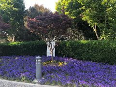 景点-国家大剧院