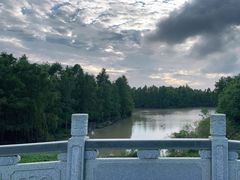 -上海海湾国家森林公园