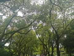 -浙江大学(玉泉校区)