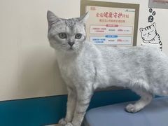 -虹泰宠物医院 ·旗舰店·24h(南秀路店)