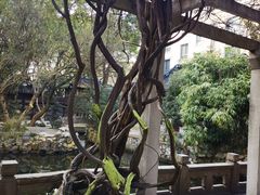 -复旦大学附属华山医院(总院)