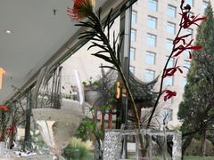 -九献创意菜·牛排馆(亮马河花园店)