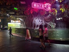 -江和美海洋公园