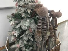 -开间茶馆·围炉煮茶