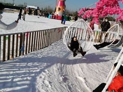-绿野森林乐园冰雪季