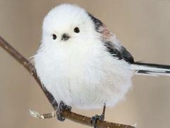 -海底捞火锅(优城店)