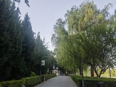 -西安汉城湖景区