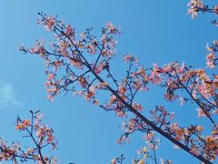 -风云岭森林公园