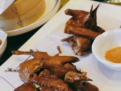 -中苑海韵