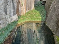 -柯岩风景区