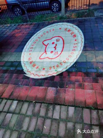 卡斯宠物店在朝阳百子湾，位置十分好找，家里的猫猫一直