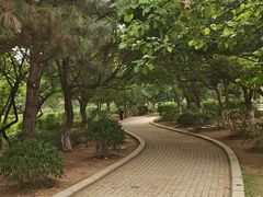 -前关湿地公园
