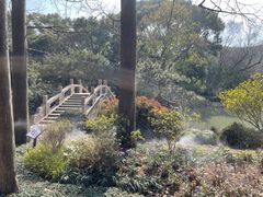 -上海醉白池公园