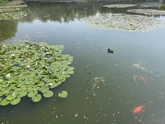 -德全心悦酒店(北京金台路地铁站店)