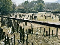 -河姆渡遗址博物馆