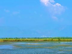 -野鸭湖国家湿地公园