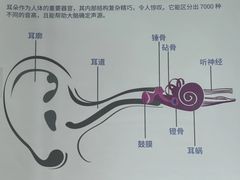 -立聪堂助听器·呼吸机(人民医院店)