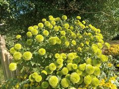 -杭州植物园