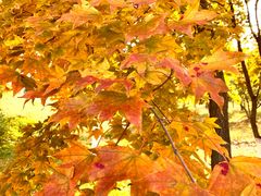 -长春世界雕塑园冰雪艺术天地