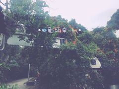 -南丫岛