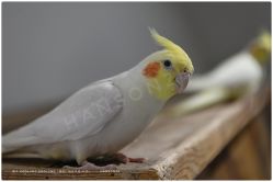 -Zoolung Zoolung动物主题公园(海信广场店)