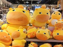 -宝龙广场(福州台江店)