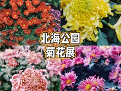 -北海公园