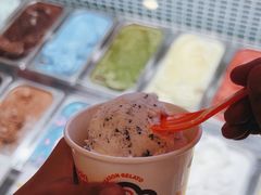 -iceason爱茜茜里·意大利健康冰淇淋(骑龙巷店)
