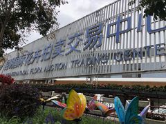 -昆明国际花卉拍卖交易中心