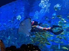 -横店影视城梦幻谷园区