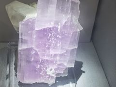 -湖南省地质博物馆