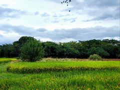 -良渚古城遗址公园