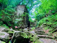 -五女峰国家森林公园