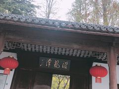 -汇龙潭
