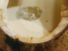-佛有缘素食馆·荔湾老字号(陈家祠首店)