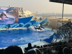 -上海海昌海洋公园