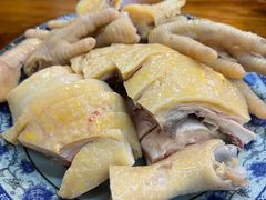 -九斤黄三黄鸡专卖店