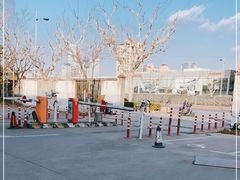 -上海植物园·停车场